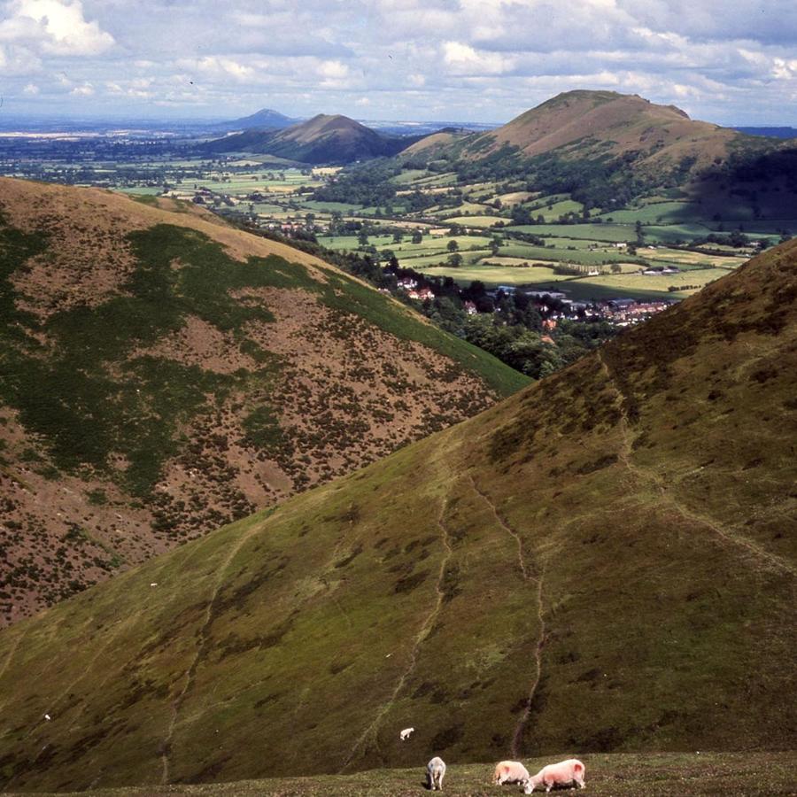 Victoria House Hotel Church Stretton Luaran gambar